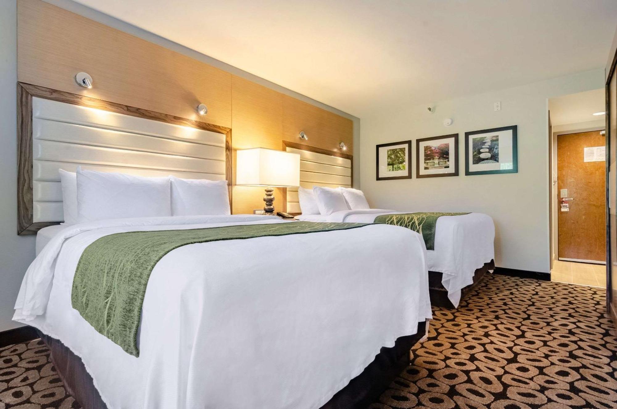 Comfort Inn Raleigh Midtown Exterior foto